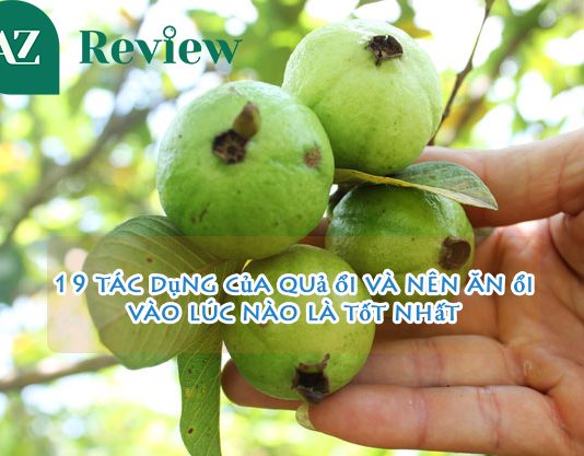 19 tác dụng của quả ổi và nên ăn ổi vào lúc nào là tốt nhất