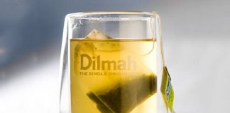 Uống trà dilmah có béo không