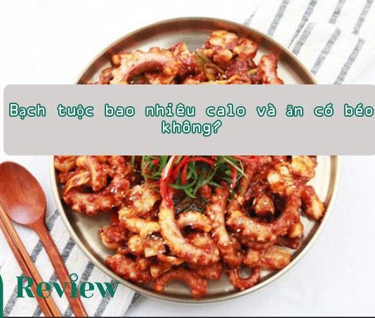 Bạch tuộc bao nhiêu calo và ăn có béo không