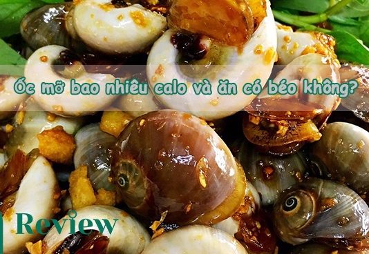 Ốc mỡ bao nhiêu calo và ăn có béo không