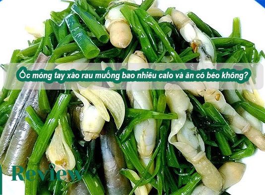 Ốc móng tay xào rau muống bao nhiêu calo và ăn có béo không