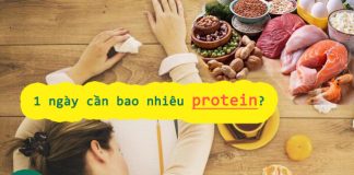 1 ngày cần bao nhiêu protein