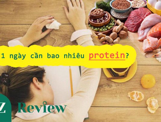 1 ngày cần bao nhiêu protein