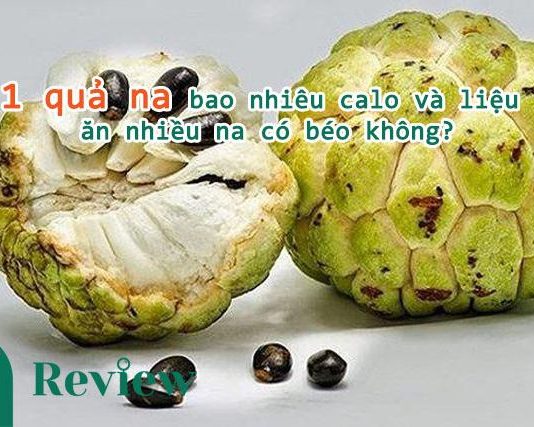 1 quả na bao nhiêu calo và liệu ăn nhiều na có béo không