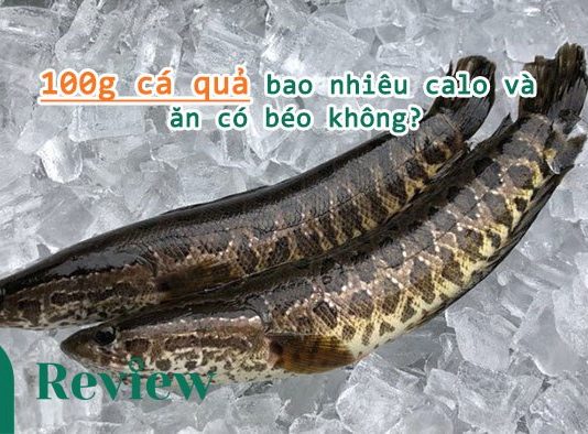 100g cá quả bao nhiêu calo và ăn có béo không