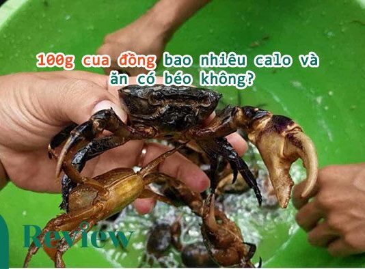 100g cua đồng bao nhiêu calo và ăn có béo không