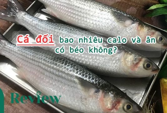 Cá đối bao nhiêu calo và ăn có béo không