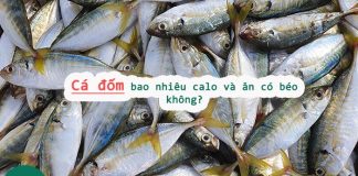 Cá đốm bao nhiêu calo và ăn có béo không