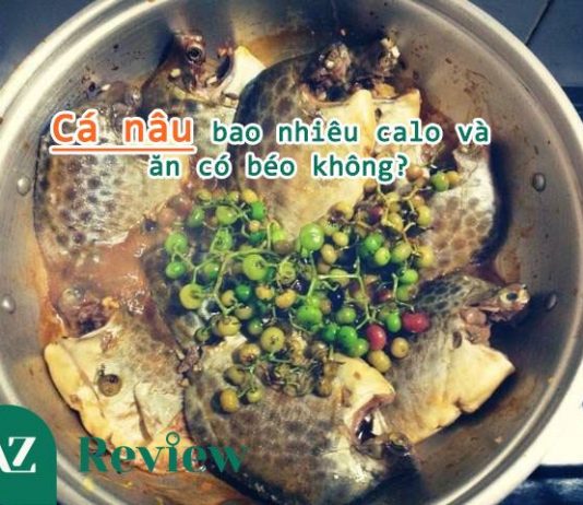Cá nâu bao nhiêu calo và ăn có béo không? Cá nâu bao nhiêu calo và ăn có béo không