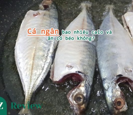 Cá ngân bao nhiêu calo và ăn có béo không