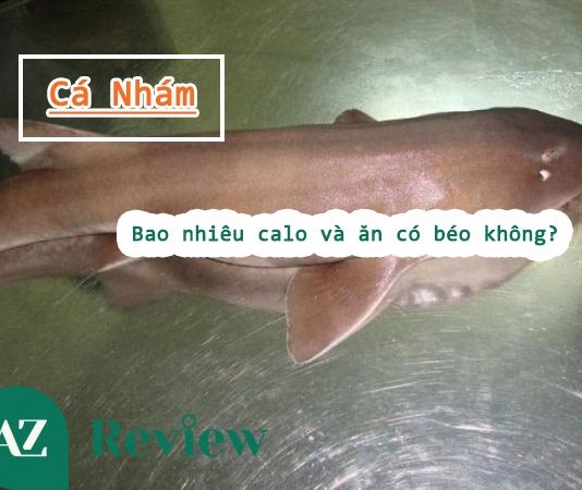 Cá nhám bao nhiêu calo và ăn có béo không? Cá nhám bao nhiêu calo và ăn có béo không