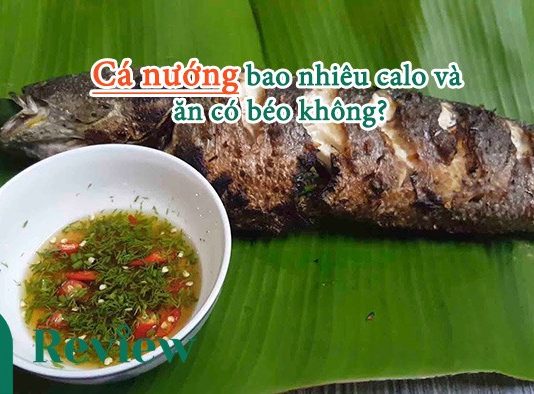 Cá nướng bao nhiêu calo và ăn có béo không