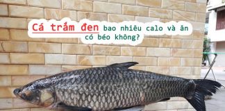 Cá trắm đen bao nhiêu calo và ăn có béo không