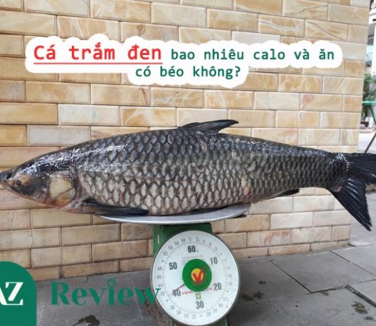Cá trắm đen bao nhiêu calo và ăn có béo không? Cá trắm đen bao nhiêu calo và ăn có béo không