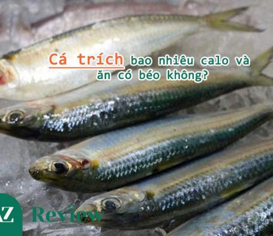 Cá trích bao nhiêu calo và ăn có béo không