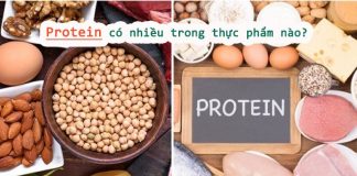 Protein có nhiều trong thực phẩm nào
