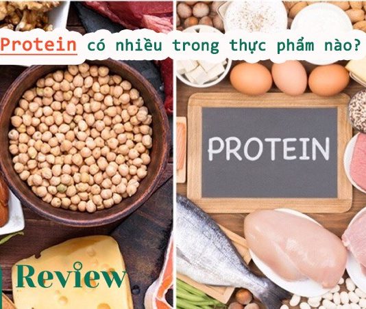 Protein có nhiều trong thực phẩm nào