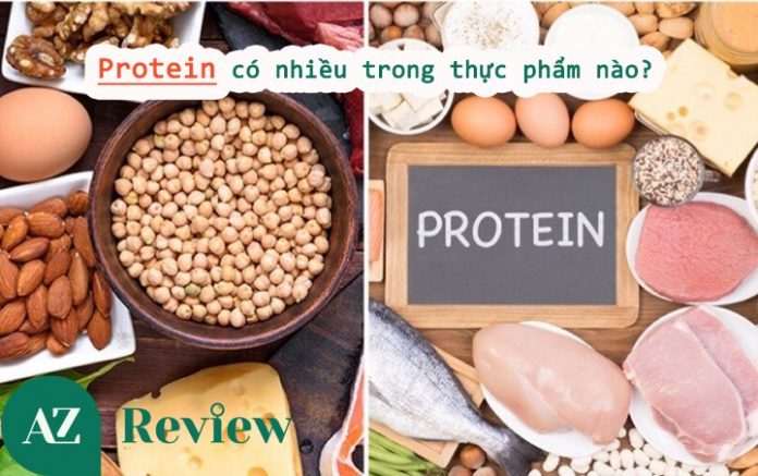Protein có nhiều trong thực phẩm nào