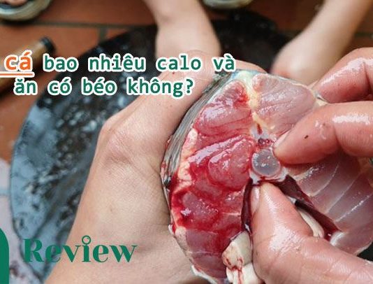 mỡ cá bao nhiêu calo và ăn có béo không