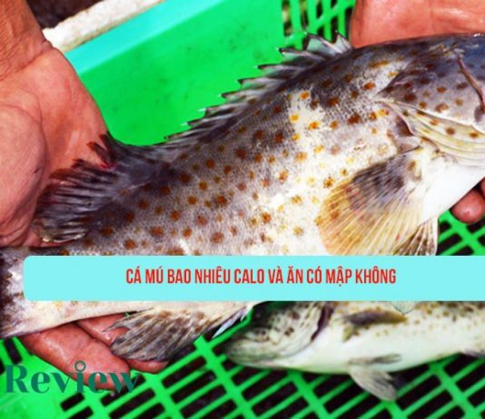 Cá mú bao nhiêu calo và ăn có mập không