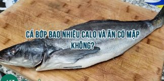 Cá bớp bao nhiêu calo và ăn có mập không