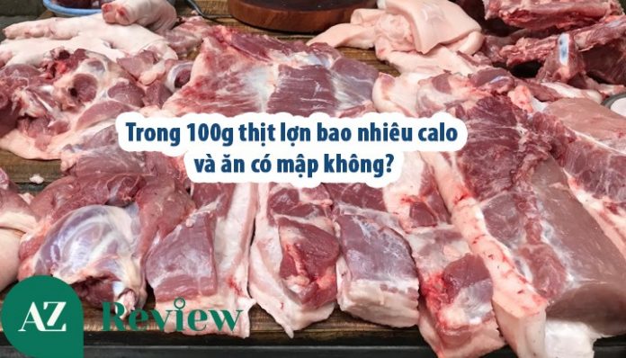 Trong 100g thịt lợn bao nhiêu calo và ăn có mập không