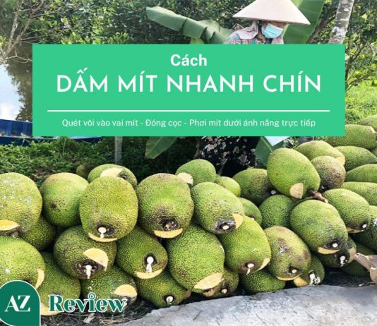 Cách dấm mít nhanh chín