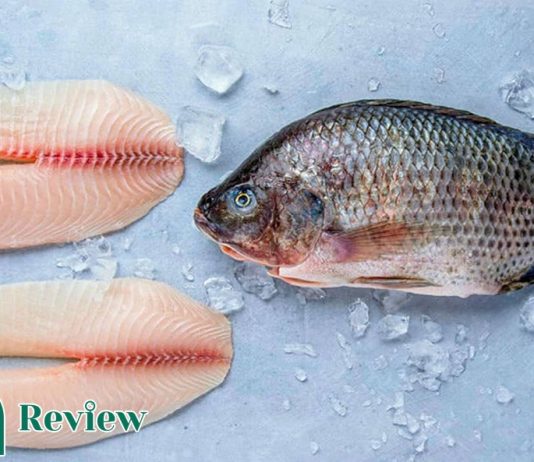Ăn cá rô phi có tác dụng gì tốt không