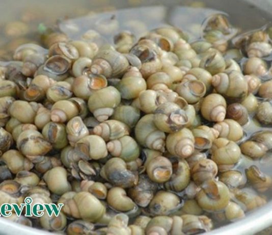Ăn ốc gạo có tốt không