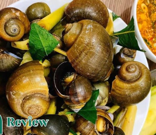 Ốc lác có tác dụng gì