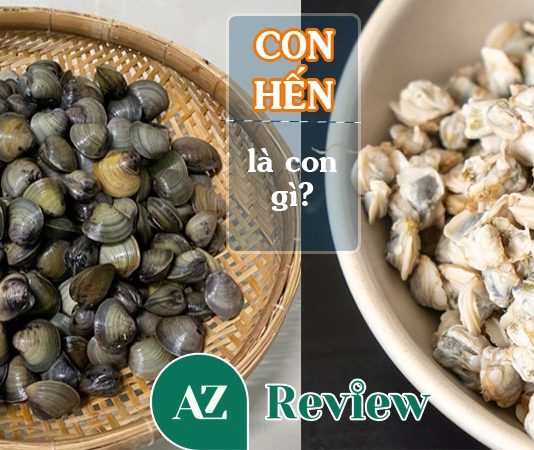 con hến là con gì